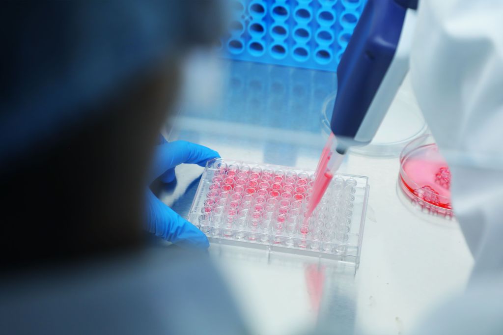 DMPK: In vitro ADME Services at Sai Life Sciences