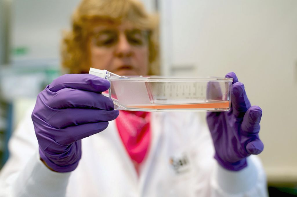Comprehensive biology services leveraging a global strategy to accelerate discovery