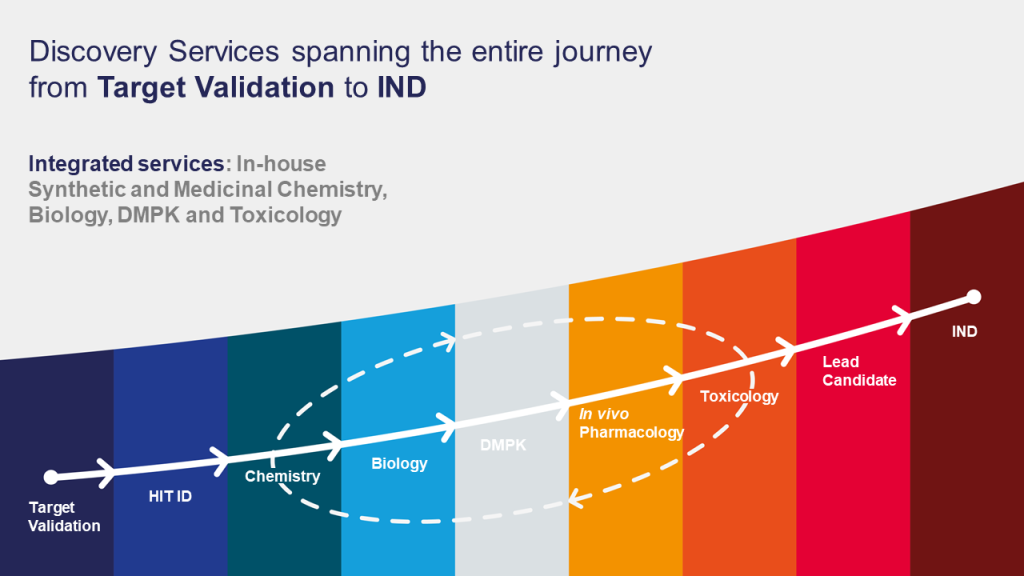 Sai Life Sciences' discovery services workflow illustrating the journey from Target Validation to IND, covering in-house capabilities in synthetic and medicinal chemistry, biology, DMPK, in vivo pharmacology, and toxicology.
