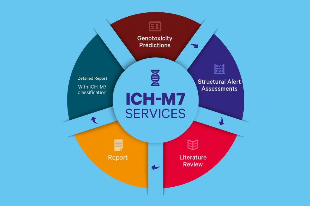 ICH-M7 Services