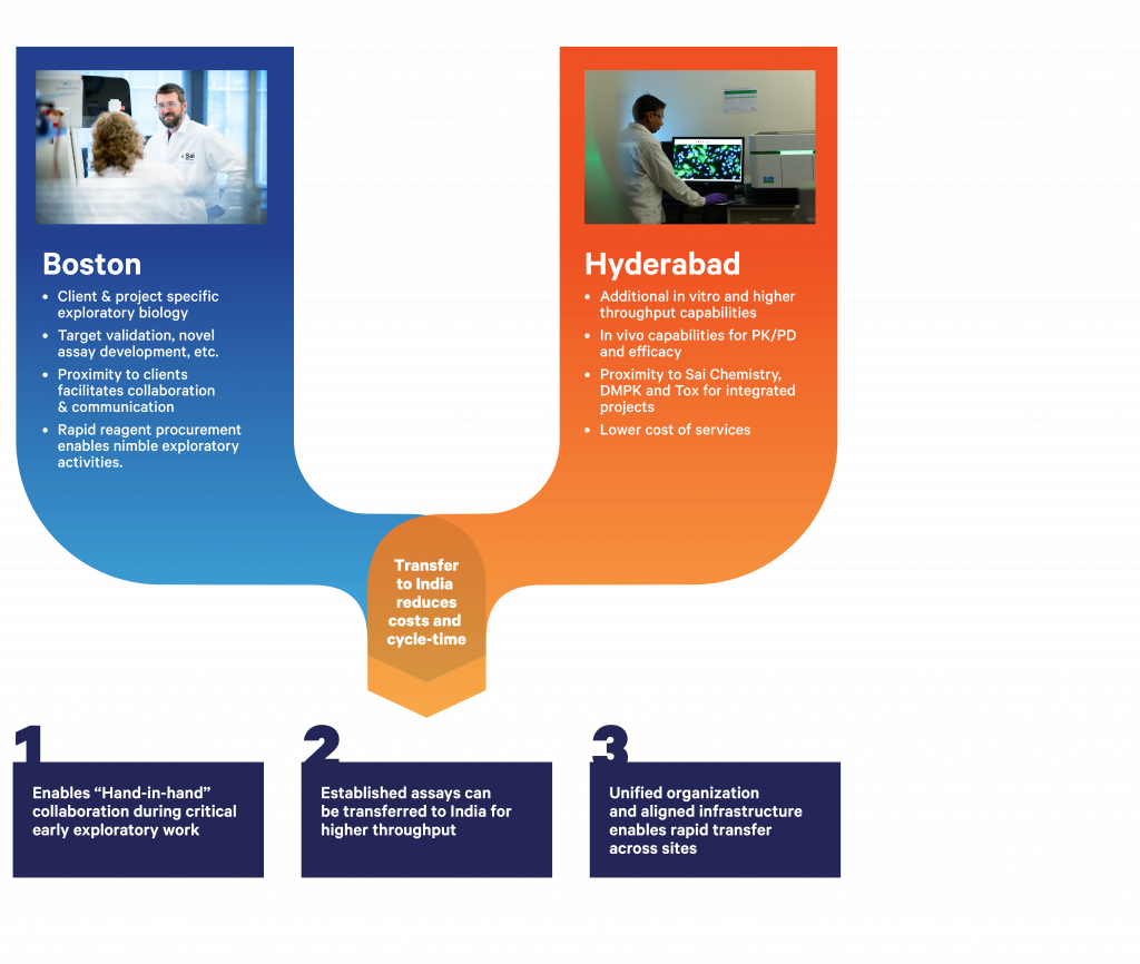 Two global sites delivering integrated value