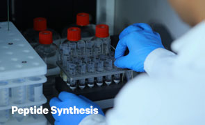 Peptide Synthesis