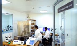 Embracing electrophysiology to revolutionize drug discovery: utility beyond safety pharmacology