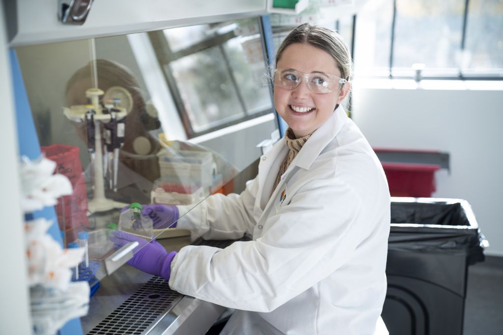 Female scientist at Sai Life Sciences working in a biosafety cabinet, wearing a lab coat, safety goggles, and purple gloves. She is handling a sample with pipettes and lab equipment in the background. Natural light from large windows brightens the laboratory environment.