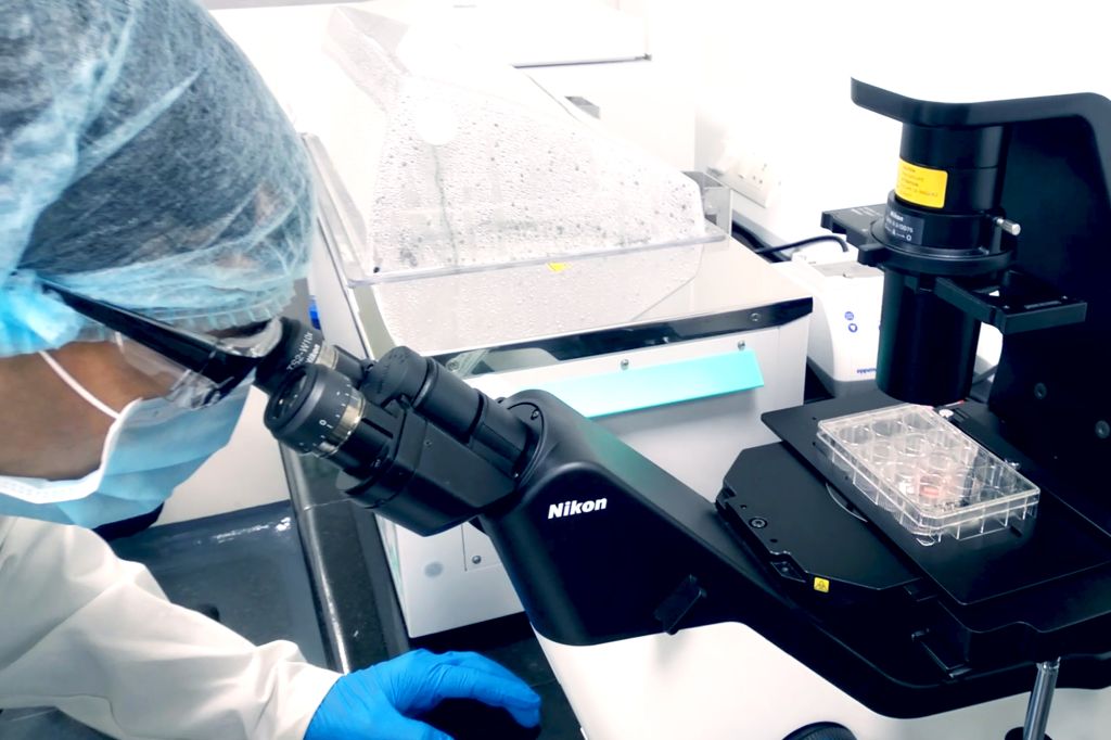 Sai Life Sciences researcher examining liver-on-chip samples under a Nikon microscope, highlighting advancements in organ-on-chip technology for drug discovery and development.