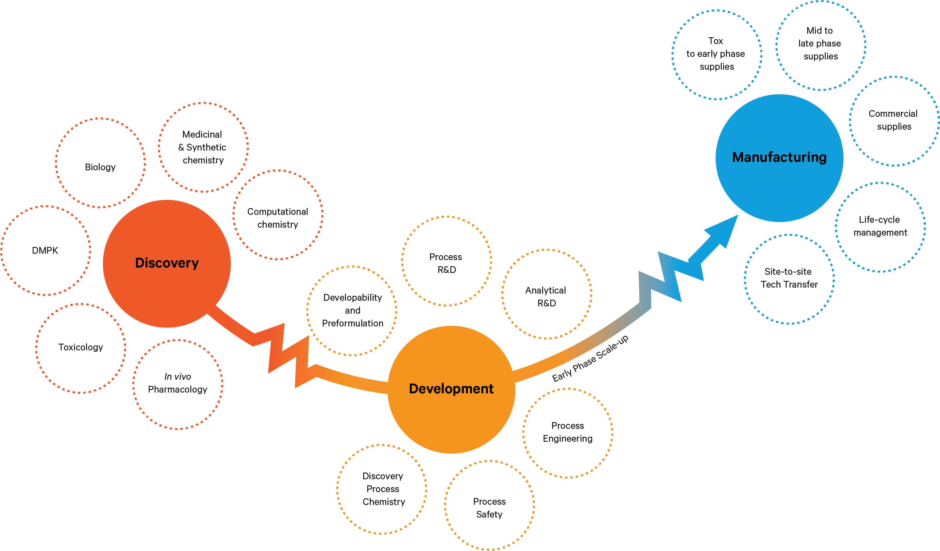 Sai Life Sciences' end-to-end drug discovery and development services, spanning Discovery, Development, and Manufacturing, with expertise in medicinal chemistry, process R&D, analytical R&D, tech transfer, and commercial supplies